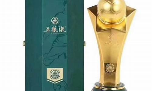 2010世界杯标志图案,2010世界杯纪念t恤