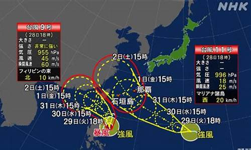 9号11号2009世界乒乓球总冠军,2009年乒乓球世锦赛冠军