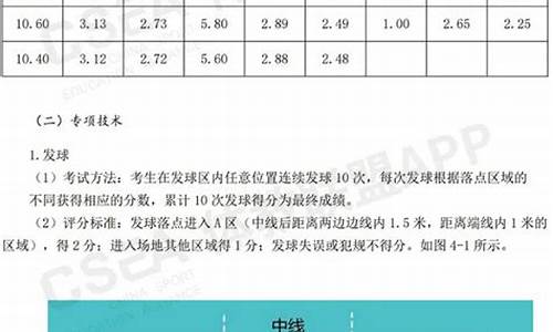 湖南体育中考排球评分标准,中考排球评分标准